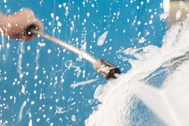 Best Paint Preparation  in Tuscola, IL