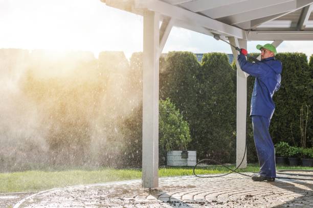 Best Sign and Awning Cleaning  in Tuscola, IL